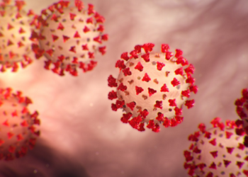 First Case of HPMV Virus Reported in Bengaluru: 8-Month-Old Baby Infected