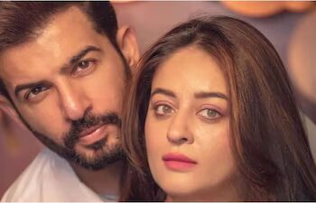 End of a TV Love Story: Jay Bhanushali and Mahhi Vij Reportedly Finalise Divorce