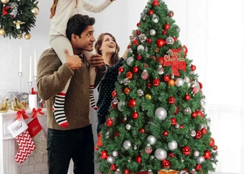 The Evergreen Legacy: Unearthing the Origins of the Christmas Tree